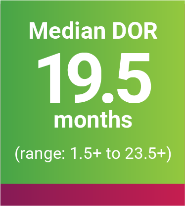 Median DOR 19.5 months (range: 1.5+ to 23.5+)