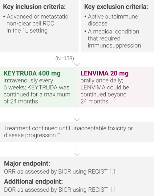 Study Design for KEYNOTE-B61 Clinical Trial: Key Inclusion/Exclusion Criteria and Major and Additional Endpoints